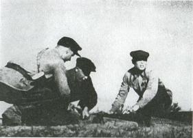 Лесные солдаты. Партизанская война на Северо-Западе СССР. 1941-1944 Лесные солдаты. Партизанская война на Северо-Западе СССР. 1941-1944