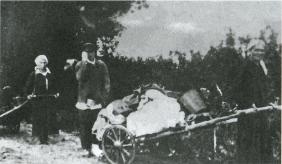 Лесные солдаты. Партизанская война на Северо-Западе СССР. 1941-1944 Лесные солдаты. Партизанская война на Северо-Западе СССР. 1941-1944