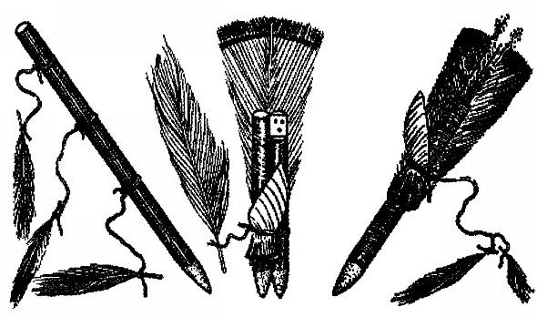 Наделенные силой. Тайны индейских шаманов Наделенные силой. Тайны индейских шаманов