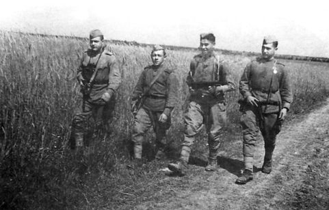 Неизвестные солдаты. Сражения на внешнем фронте блокады Ленинграда Неизвестные солдаты. Сражения на внешнем фронте блокады Ленинграда