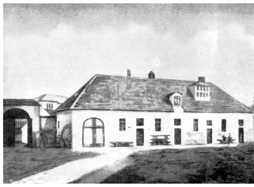 Век хирургов Век хирургов