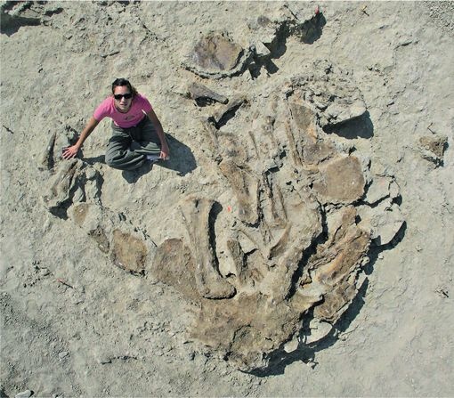 Динозавры. 150 000 000 лет господства на Земле Динозавры. 150 000 000 лет господства на Земле