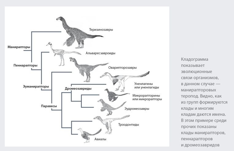 Динозавры. 150 000 000 лет господства на Земле Динозавры. 150 000 000 лет господства на Земле