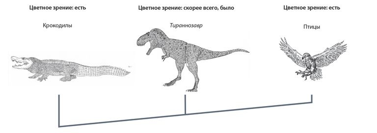 Динозавры. 150 000 000 лет господства на Земле Динозавры. 150 000 000 лет господства на Земле