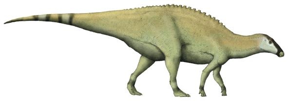 Динозавры. 150 000 000 лет господства на Земле Динозавры. 150 000 000 лет господства на Земле