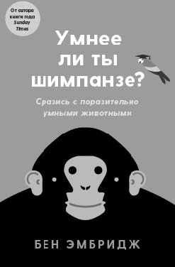 Обои-убийцы, ядовитая вода и стул-обольститель. Как выжить в собственной квартире Обои-убийцы, ядовитая вода и стул-обольститель. Как выжить в собственной квартире