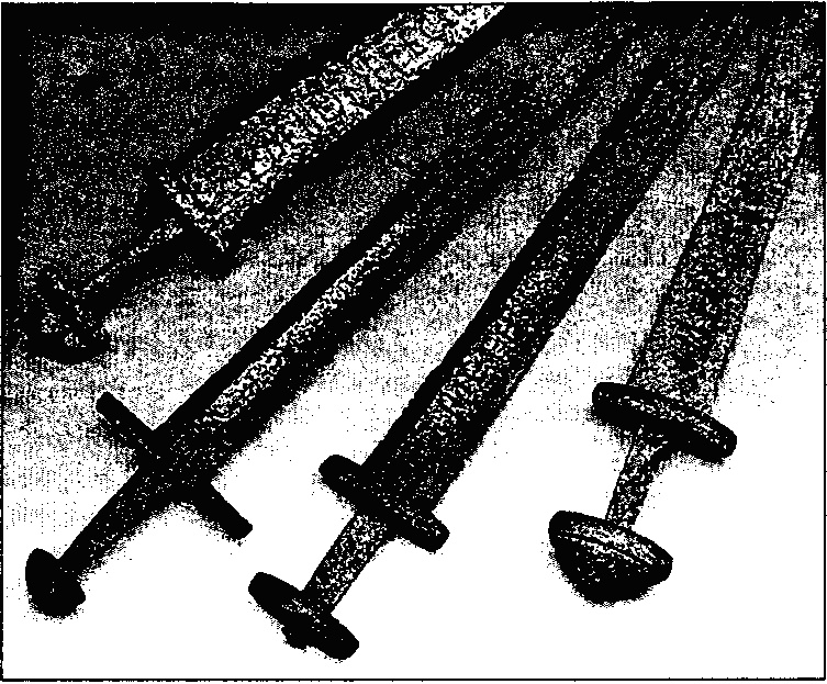 Викинги. Между Скандинавией и Русью Викинги. Между Скандинавией и Русью