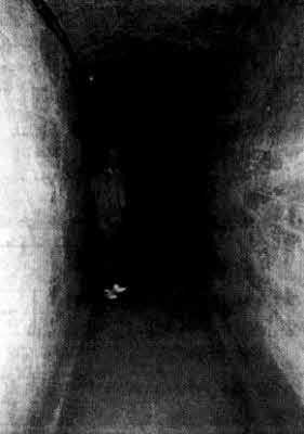 Братство "Колокола". Секретное оружие СС Братство "Колокола". Секретное оружие СС