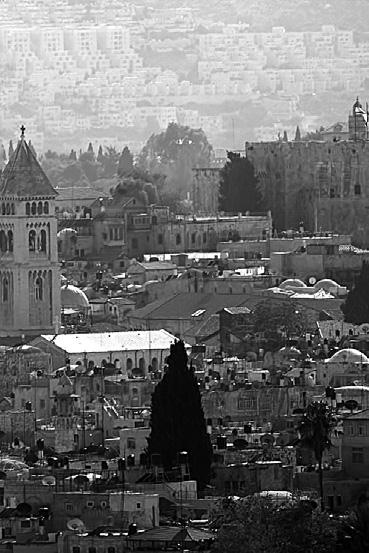 Пинхас Рутенберг. От террориста к сионисту. Том II: В Палестине (1919–1942) Пинхас Рутенберг. От террориста к сионисту. Том II: В Палестине (1919–1942)