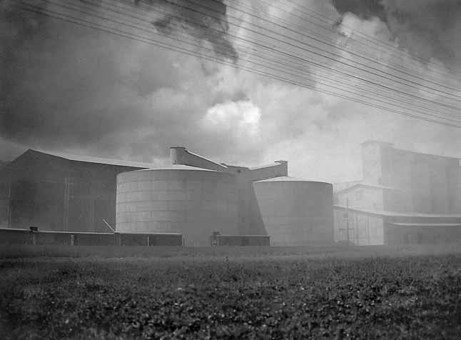 Пинхас Рутенберг. От террориста к сионисту. Том II: В Палестине (1919–1942) Пинхас Рутенберг. От террориста к сионисту. Том II: В Палестине (1919–1942)