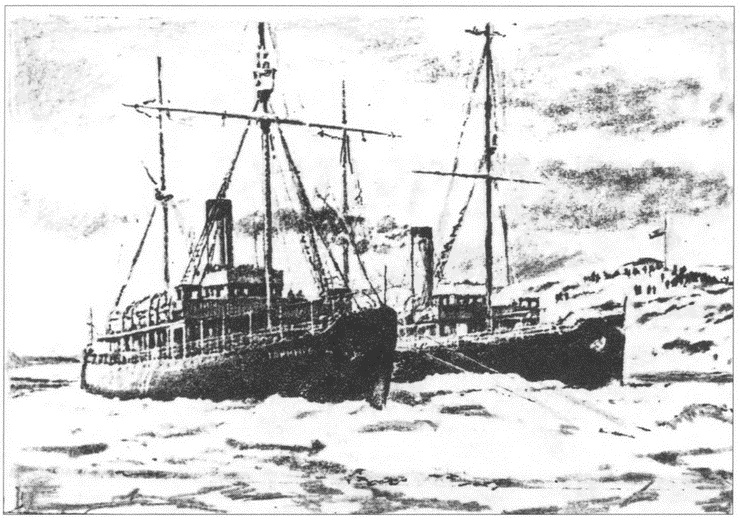 Командоры полярных морей Командоры полярных морей