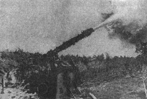 1941 год на Балтике. Подвиг и трагедия 1941 год на Балтике. Подвиг и трагедия