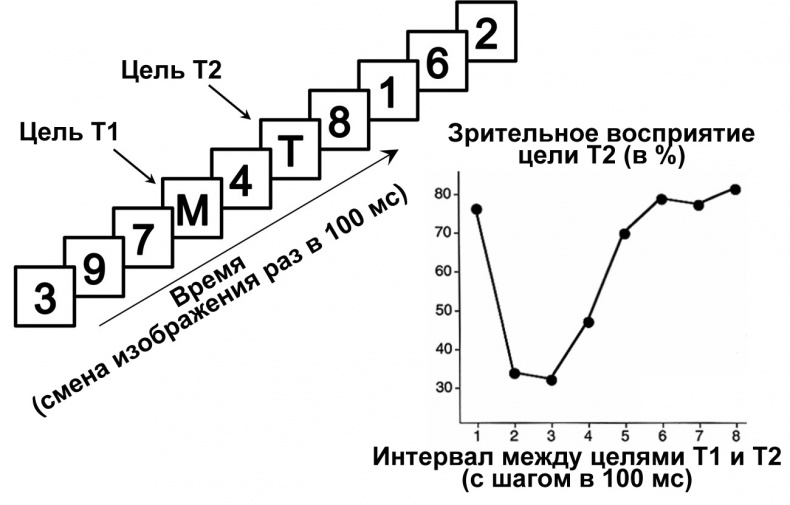 Сознание и мозг. Как мозг кодирует мысли Сознание и мозг. Как мозг кодирует мысли