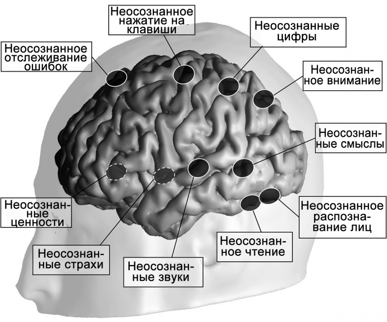 Сознание и мозг. Как мозг кодирует мысли Сознание и мозг. Как мозг кодирует мысли