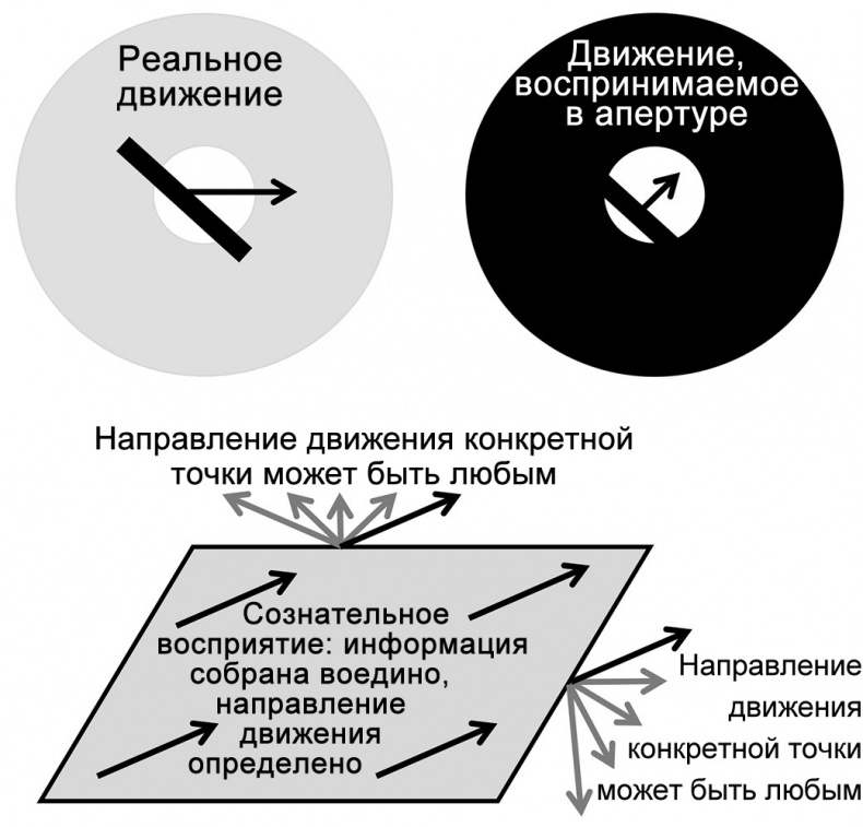 Сознание и мозг. Как мозг кодирует мысли Сознание и мозг. Как мозг кодирует мысли