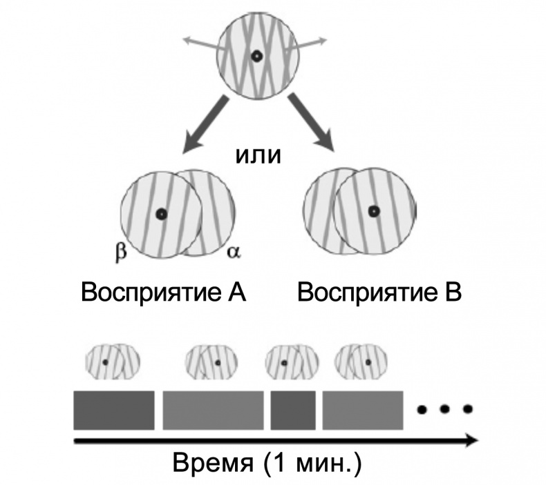 Сознание и мозг. Как мозг кодирует мысли Сознание и мозг. Как мозг кодирует мысли