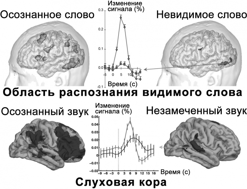 Сознание и мозг. Как мозг кодирует мысли Сознание и мозг. Как мозг кодирует мысли