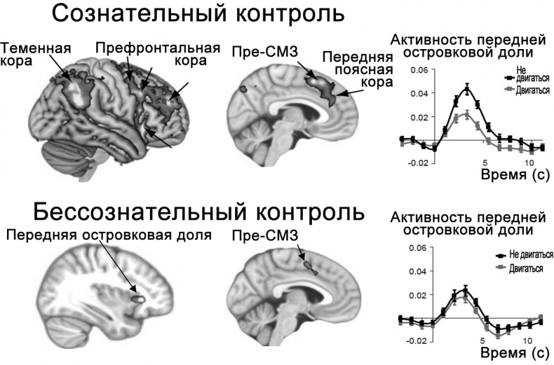 Сознание и мозг. Как мозг кодирует мысли Сознание и мозг. Как мозг кодирует мысли