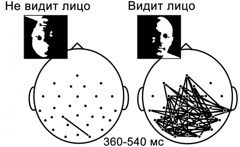 Сознание и мозг. Как мозг кодирует мысли Сознание и мозг. Как мозг кодирует мысли