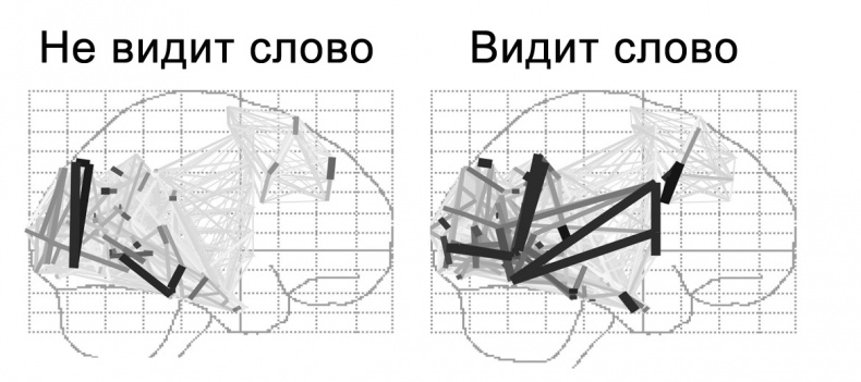 Сознание и мозг. Как мозг кодирует мысли Сознание и мозг. Как мозг кодирует мысли