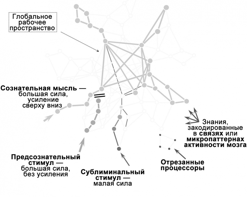 Сознание и мозг. Как мозг кодирует мысли Сознание и мозг. Как мозг кодирует мысли