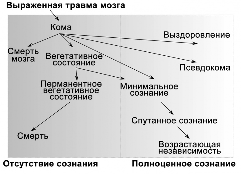 Сознание и мозг. Как мозг кодирует мысли Сознание и мозг. Как мозг кодирует мысли