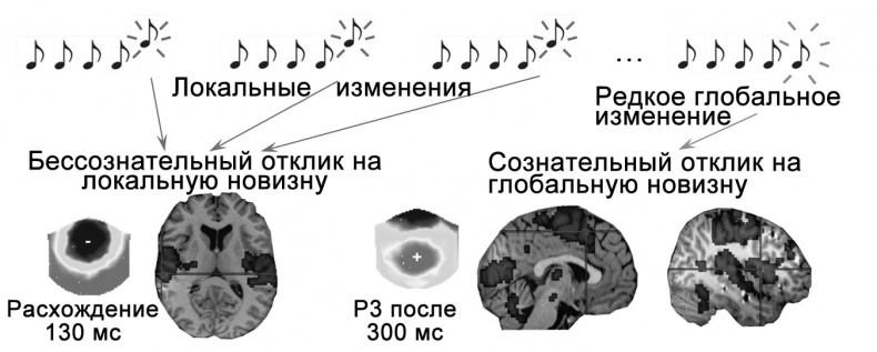 Сознание и мозг. Как мозг кодирует мысли Сознание и мозг. Как мозг кодирует мысли