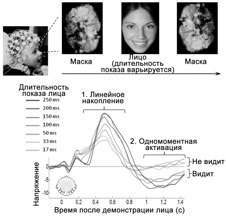 Сознание и мозг. Как мозг кодирует мысли Сознание и мозг. Как мозг кодирует мысли