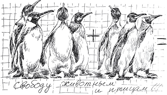 Золото скифов Золото скифов