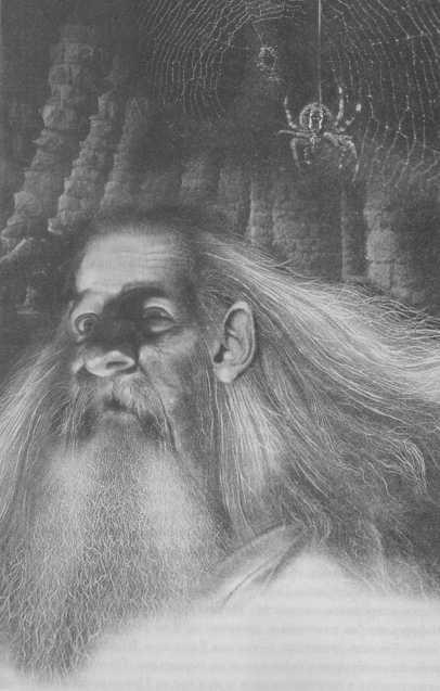 Всё о непослушных принцессах и коварных драконах Всё о непослушных принцессах и коварных драконах