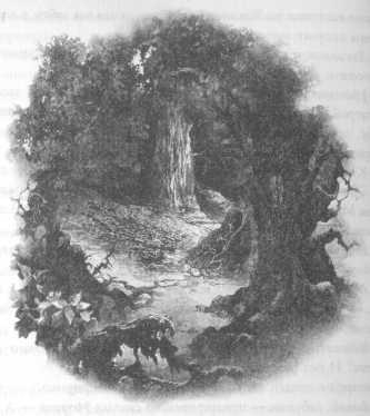 Всё о непослушных принцессах и коварных драконах Всё о непослушных принцессах и коварных драконах