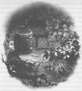 Всё о непослушных принцессах и коварных драконах Всё о непослушных принцессах и коварных драконах