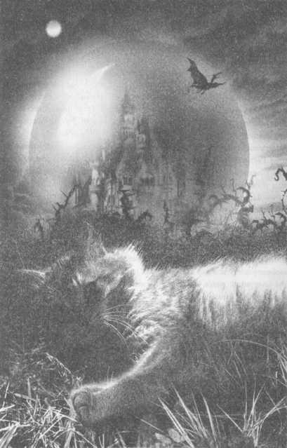 Всё о непослушных принцессах и коварных драконах Всё о непослушных принцессах и коварных драконах