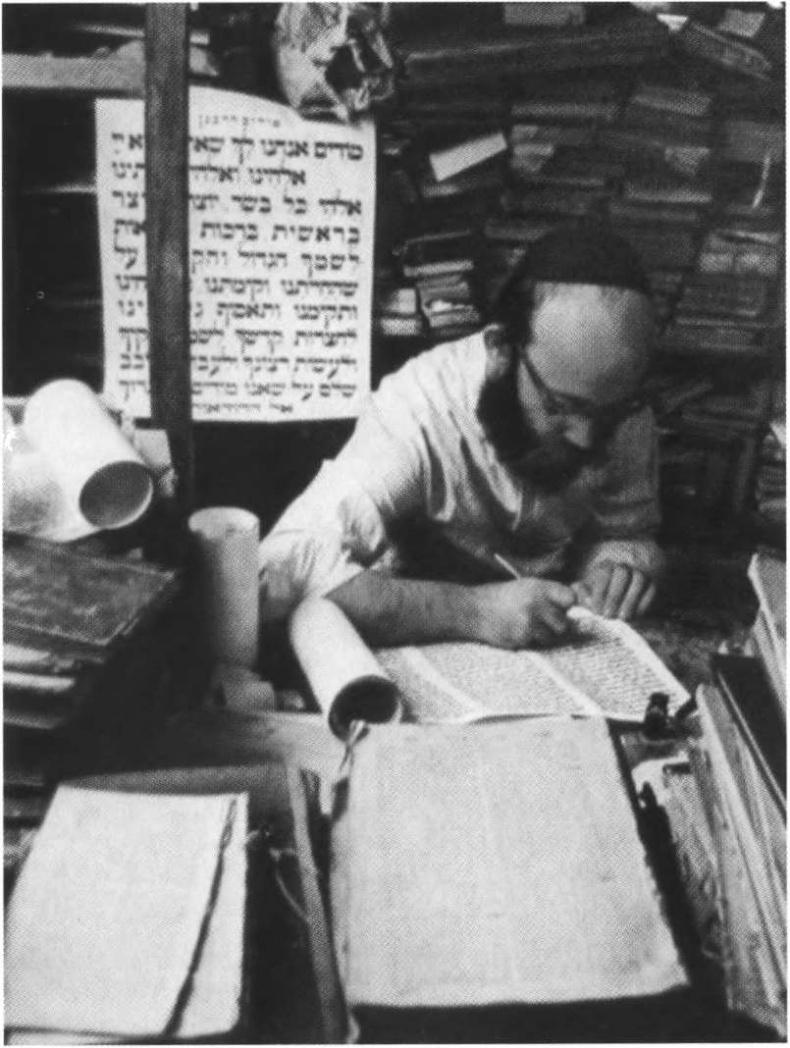 Повседневная жизнь людей Библии Повседневная жизнь людей Библии