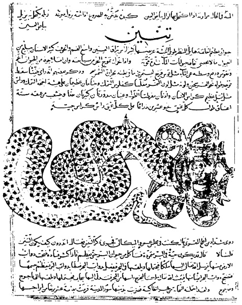 Книга катастроф Книга катастроф