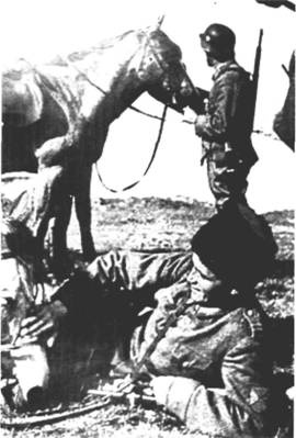 Иностранные добровольцы в вермахте. 1941-1945 Иностранные добровольцы в вермахте. 1941-1945