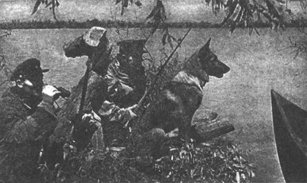 Десанты 1941 года Десанты 1941 года