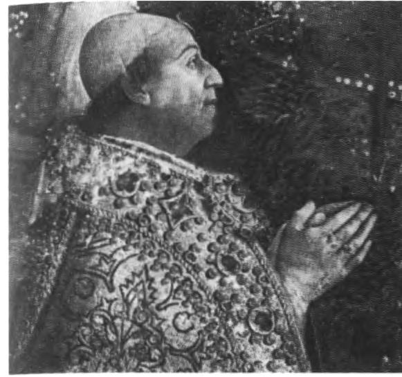 Повседневная жизнь папского двора времен Борджиа и Медичи. 1420-1520 Повседневная жизнь папского двора времен Борджиа и Медичи. 1420-1520
