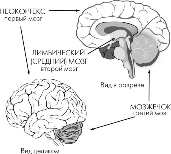 Я Вас слушаю! Или как подружить Фому с Ерёмой Я Вас слушаю! Или как подружить Фому с Ерёмой