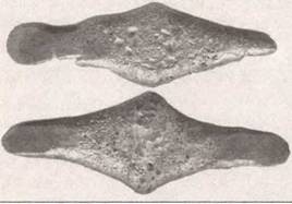 По следам древних кладов. Мистика и реальность По следам древних кладов. Мистика и реальность