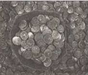 По следам древних кладов. Мистика и реальность