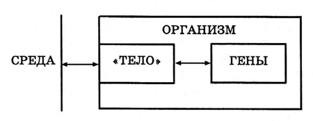 Энциклопедия Амосова. Алгоритм здоровья Энциклопедия Амосова. Алгоритм здоровья