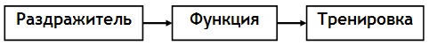 Энциклопедия Амосова. Алгоритм здоровья Энциклопедия Амосова. Алгоритм здоровья