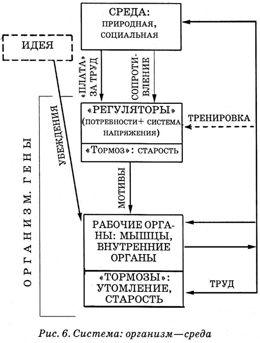 Энциклопедия Амосова. Алгоритм здоровья Энциклопедия Амосова. Алгоритм здоровья