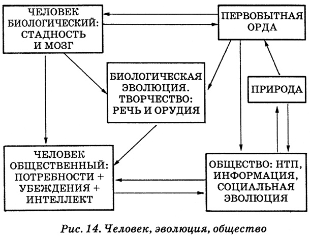 Энциклопедия Амосова. Алгоритм здоровья Энциклопедия Амосова. Алгоритм здоровья
