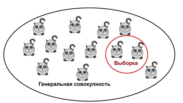 Статистика и котики Статистика и котики