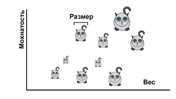 Статистика и котики Статистика и котики