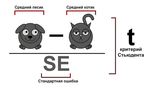 Статистика и котики Статистика и котики