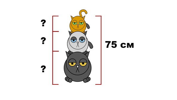 Статистика и котики Статистика и котики