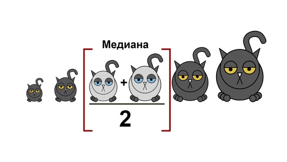 Статистика и котики Статистика и котики